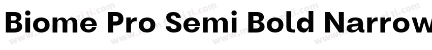 Biome Pro Semi Bold Narrow Itali字体转换